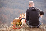 man, dogs, hiking, edge, cliff, camping, pet, travel, outdoors, best friends, mountain, male, person, bald, park, caucasian, nature, sitting, canine, animal, cute dog, tails, fun, camping, camping, camping, camping, camping, bald, bald