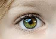 Detailed close-up of a child's green eye, highlighting the iris and natural eyelashes.