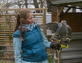 A woman wearing a blue jacket holding a hawk on her arm in an outdoor aviary area.