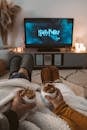 A couple enjoys a cozy movie night with drinks, wrapped in blankets, watching a Harry Potter film on TV.