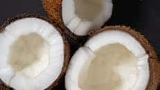 High-resolution image of three coconut halves revealing the fresh white kernel inside the brown shell.