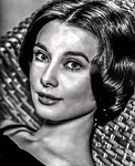 audrey hepburn-hollywood, film, actress, gray film